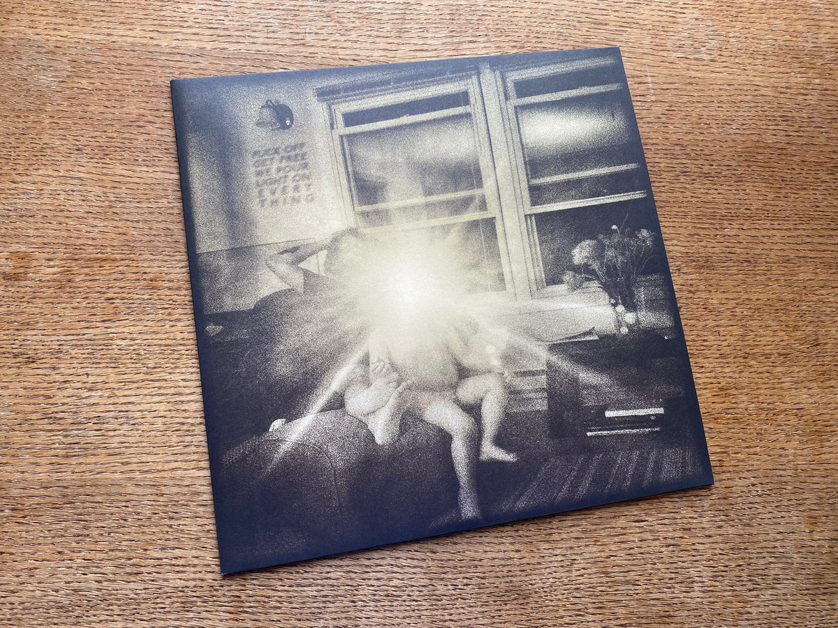 Horses In The Sky | Thee Silver Mt. Zion Memorial Orchestra