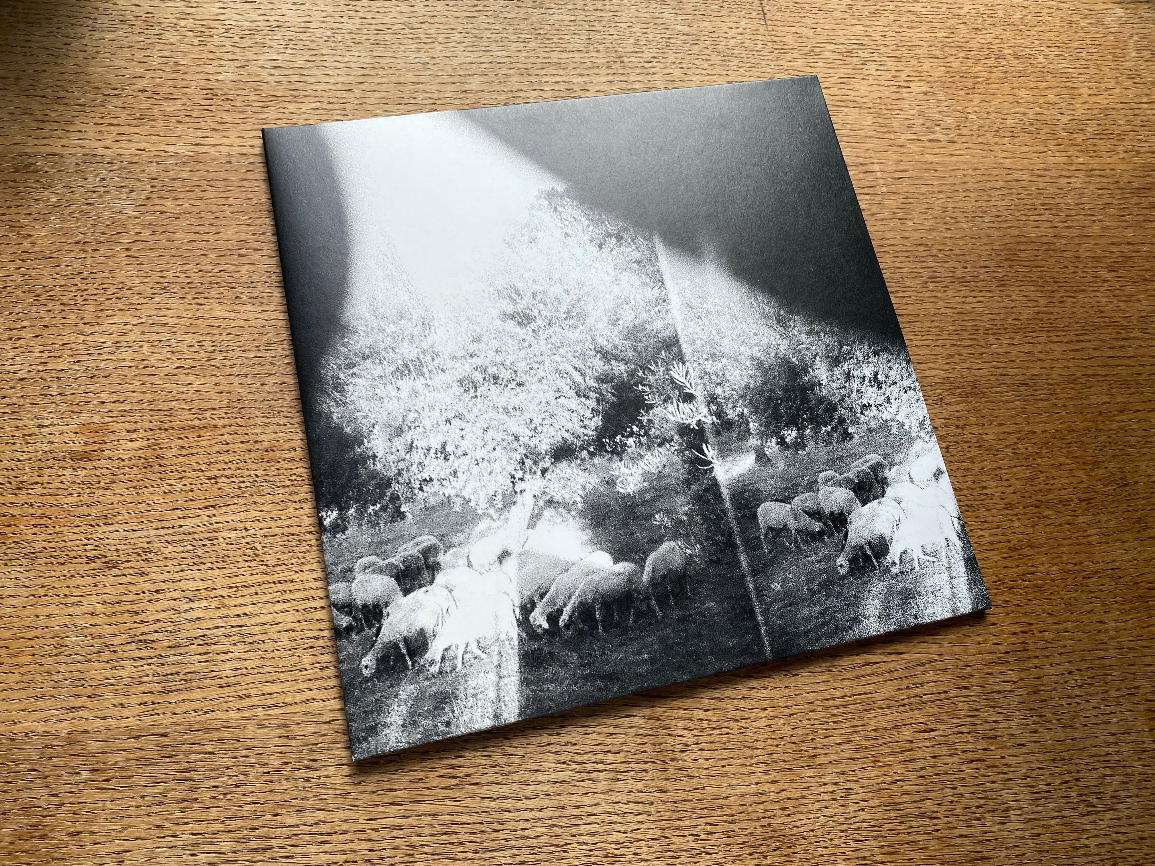 IMG_7488.heic?v=1720630957