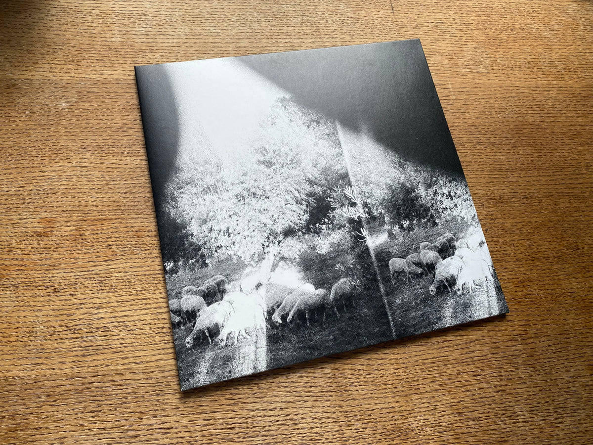 CST111 Godspeed You! Black Emperor | 'Asunder, Sweet And