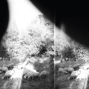 
                  
                    Load image into Gallery viewer, CST111 Godspeed You! Black Emperor | &amp;#39;Asunder, Sweet And Other Distress&amp;#39;
                  
                