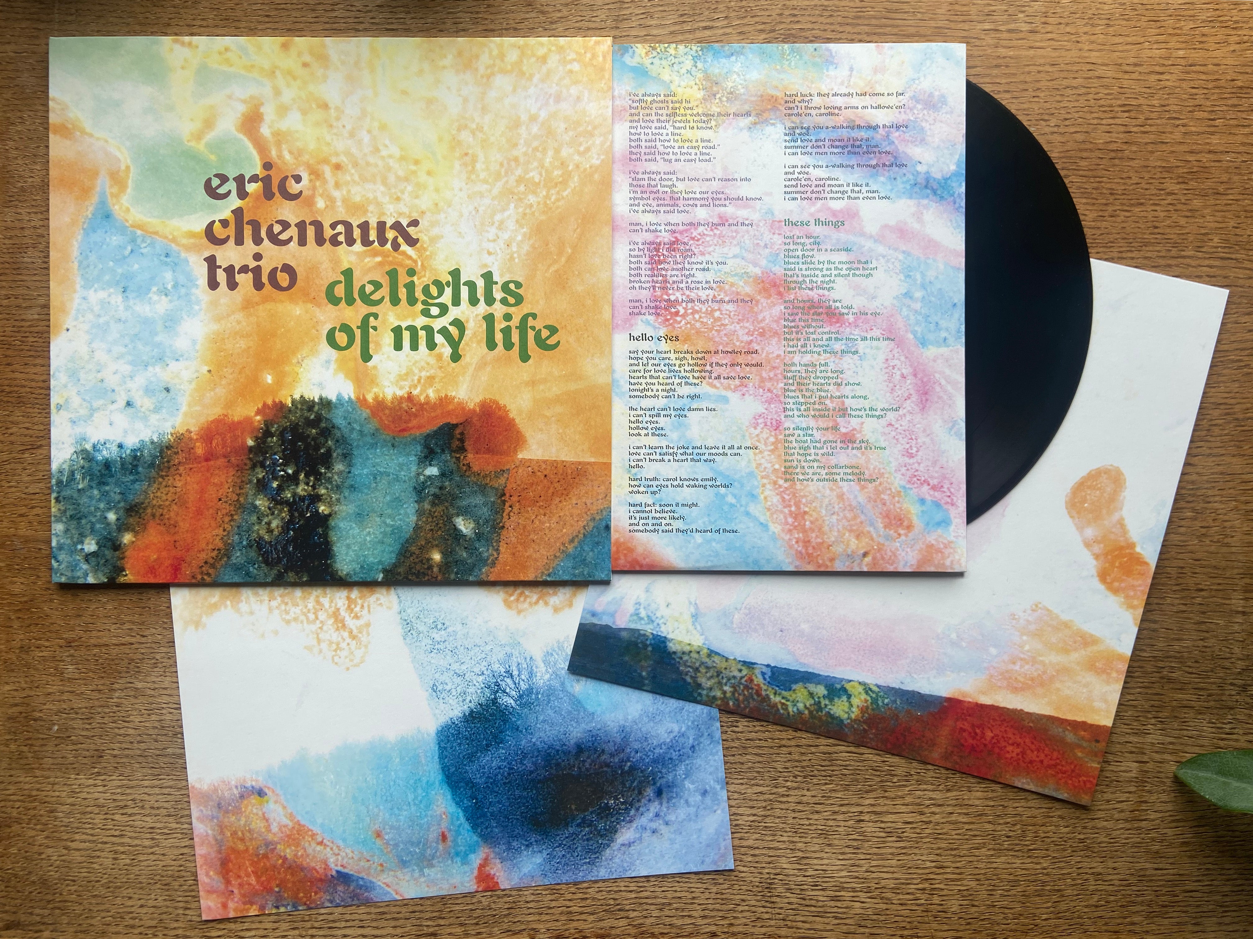 新品未使用 Eric Chenaux Trio LP ダウンロードコード付き CST179 Eric Chenaux Trio | Delights Of My Life – Constellation