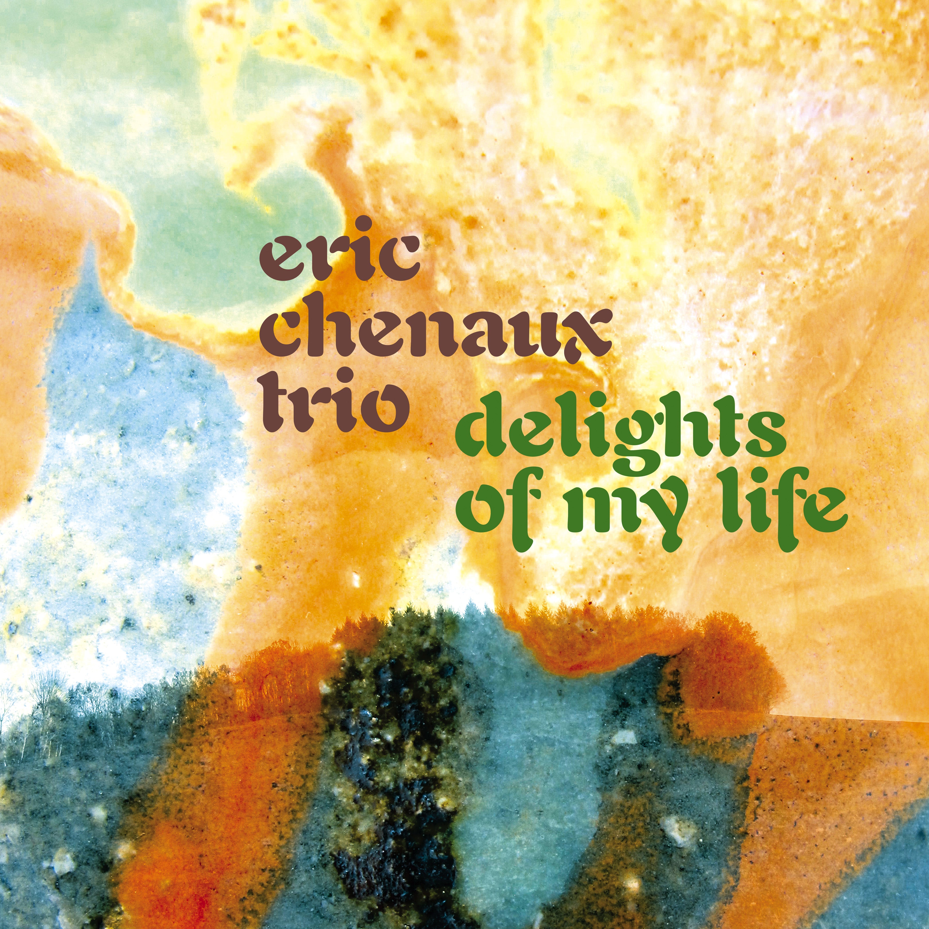 新品未使用 Eric Chenaux Trio LP ダウンロードコード付き CST179 Eric Chenaux Trio | Delights Of My Life – Constellation