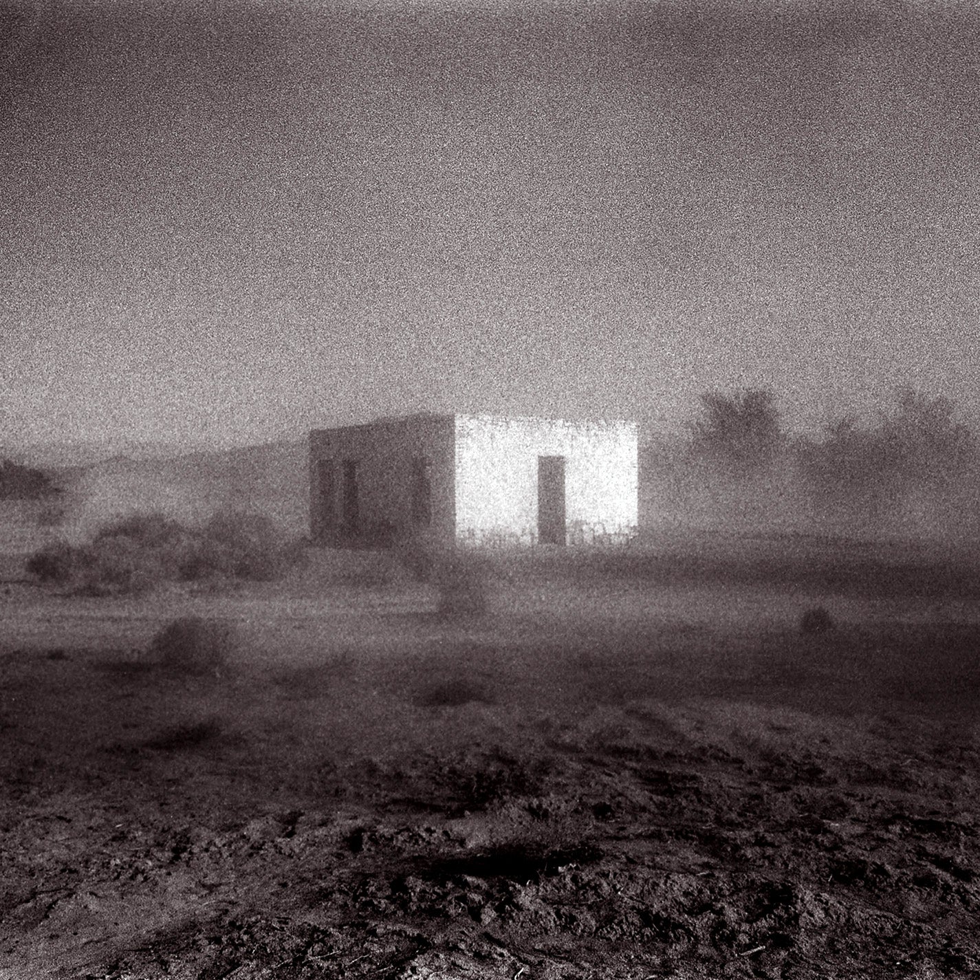 未使用 Godspeed You Black Emperor! / レコード CST183CD_Square02.jpg?v=
