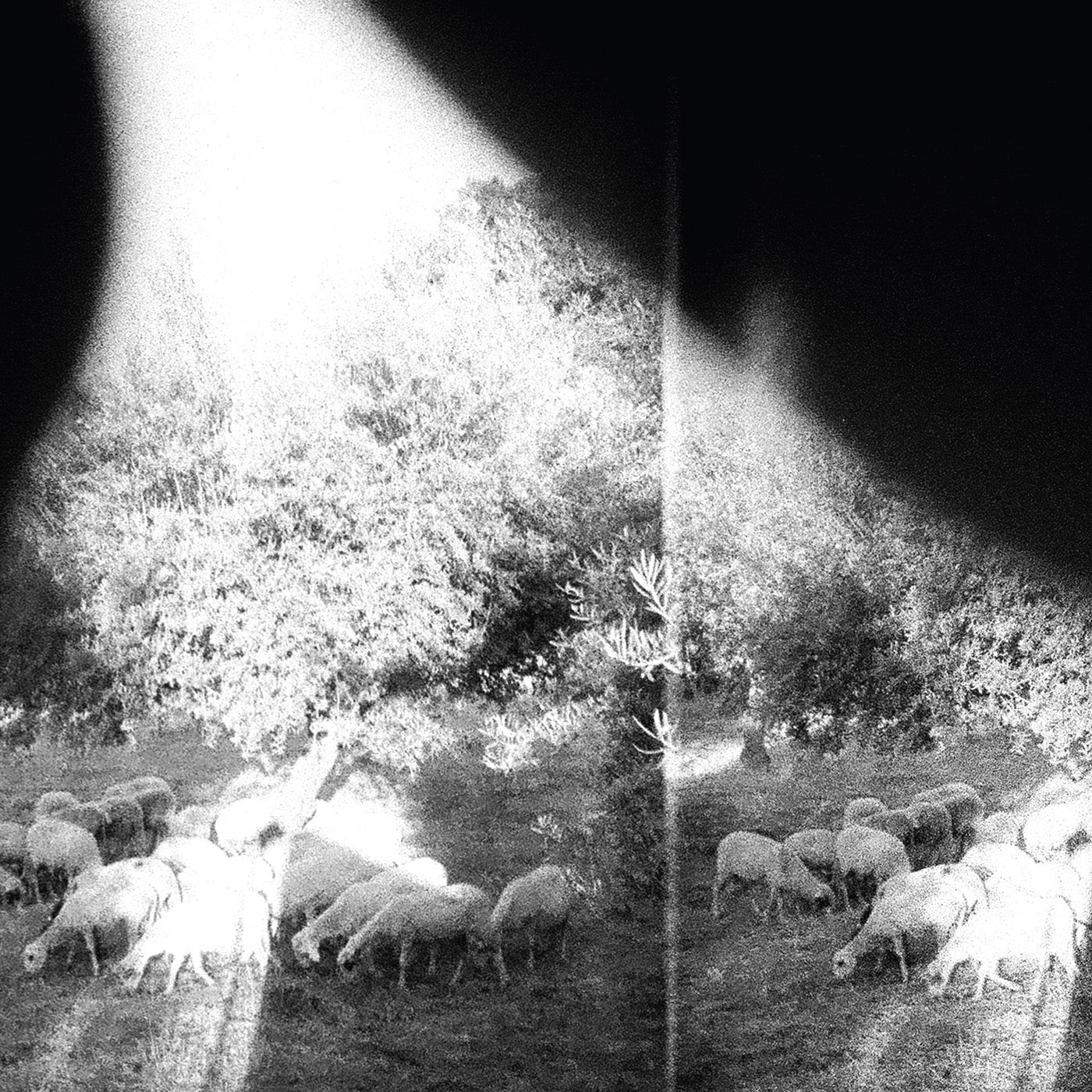 Godspeed You! Black Emperor – Constellation