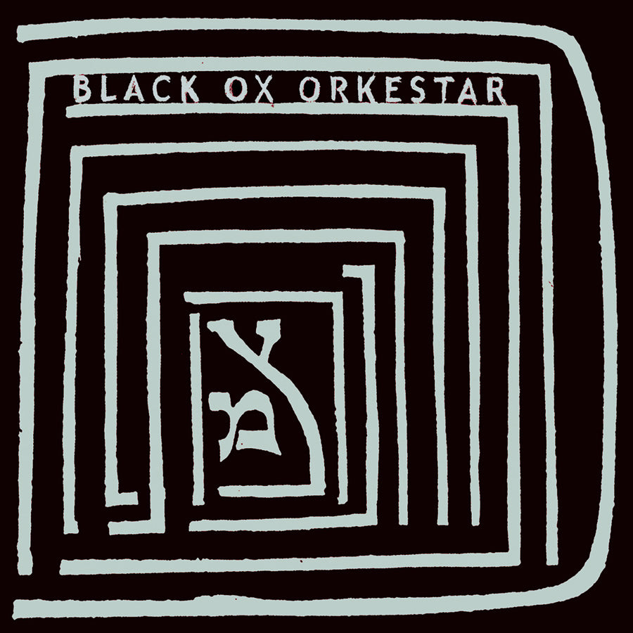 
                  
                    Load image into Gallery viewer, CST029 Black Ox Orkestar | Ver Tanzt?
                  
                