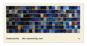 
                  
                    Charger l&amp;#39;image dans la galerie, CST086 Tindersticks | The Something Rain
                  
                