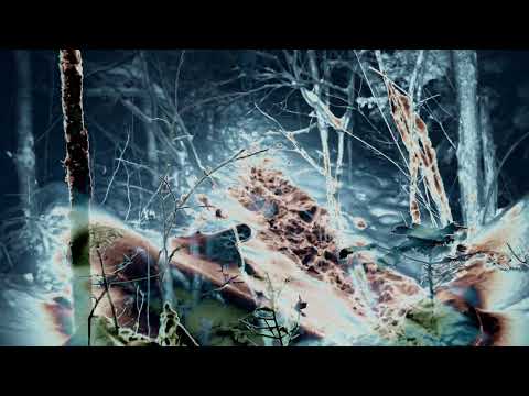 CST166 Esmerine | Everything Was Forever Until It Was No More